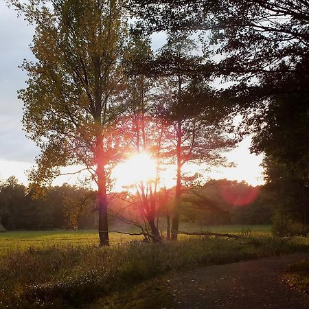 Hotel Nordic Spreewald リュベナウ エクステリア 写真
